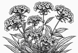 3 Vervain (Verbena) flowers with small leaves around them. tattoo idea