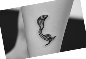 snake for a lower leg thats feminine simple but still distinctive with some kind of background tattoo idea