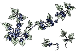 American traditional style Blackberry vine in a line tattoo idea