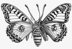 a butterfly and a moth next to each other small tattoo idea