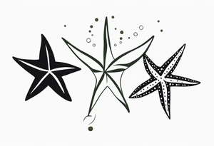 Two different star fish with olive branch behind tattoo idea