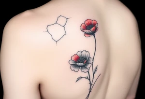 Crack in pavement at top of elbow (mostly horizontal cracks), poppy growing up back of upper arm. Airbrush flower (red). One line drawing tattoo idea