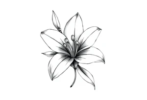 Lily  flower tattoo idea