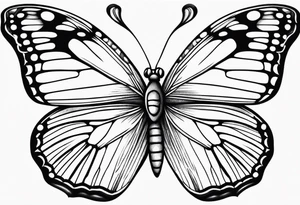 butterfly small tattoo idea