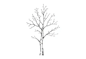 half birch tree tattoo idea