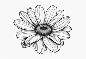 Daisy blossom top view tattoo idea