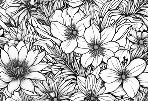 Pilbara region native plants and flowers, Kimberley region native plants and flowers tattoo idea