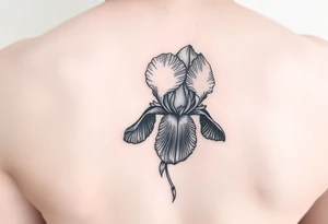 Single Iris painted in Van Gogh style. One petal falling and one upright. Integrating Kintsugi artform. tattoo idea