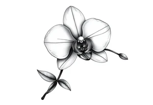 orchid with stem and leaves tattoo idea