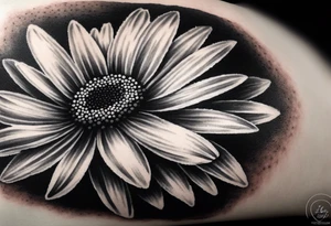 Daisy tattoo idea