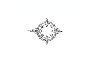 An armband tattoo combining Celtic traditional symbols and nature, the tattoo needs to circle the bicep and tricep on the arm tattoo idea