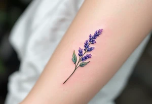 A single delicate lavender sprig in soft purple and green, with fine watercolor shading for a natural, airy look. tattoo idea