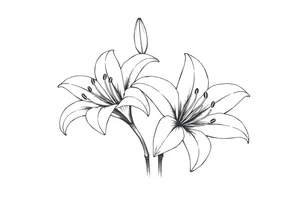 White lillies that lol like an antique etching tattoo idea