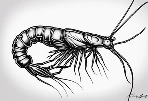 Freshwater shrimp tattoo idea