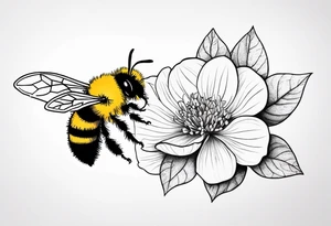 Small tattoo. There’s a hydrangea and a bee but they are not touching. Make the bee smaller than the hydrangea and have the bee off to the side. tattoo idea