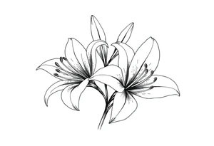 White lillies that lol like an antique etching tattoo idea