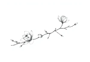 Magnolia branch long with different half opened flowers, botanical details tattoo idea