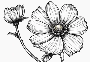 Cosmos flower with Amanda written in stem tattoo idea