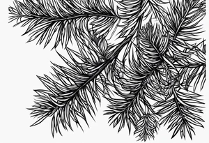 Douglas fir tattoo idea