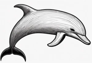 A thin outline of a dolphin without any fill. Just the outer lines only. tattoo idea