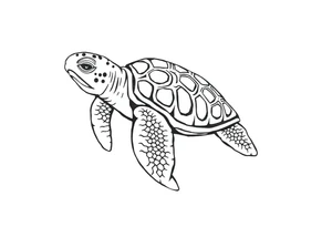 Sea turtle  tribal tattoo idea