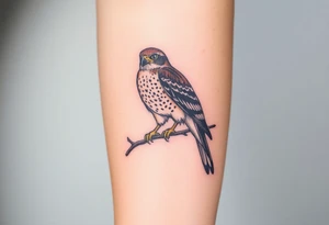 Sparrowhawk sitting on a branch tattoo idea