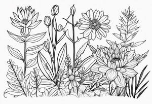 Pilbara region native plants and flowers, Kimberley region native plants and flowers tattoo idea