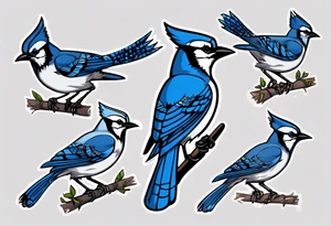 boxing bluejay tattoo idea
