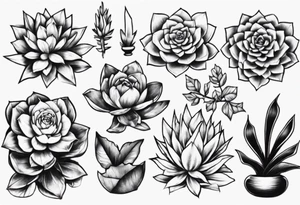 suculentas tattoo idea