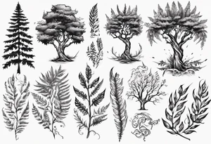 Swordfern and Sitka tree tattoo idea