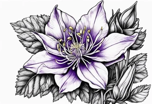 Columbine flower purple tattoo idea