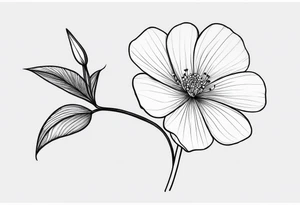 one very simple and no detailed waratha flower with stem in black and white, fine-line, very minimalistic, only a few lines tattoo idea