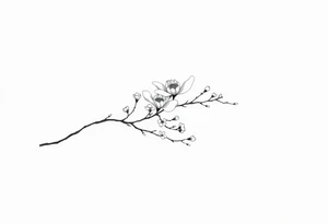 Graceful long magnolia branch with small flowers in early blossom stage tattoo idea