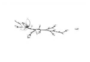 Magnolia branch long with different small half opened flowers, botanical details tattoo idea