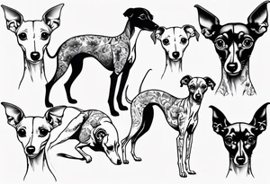 Italian greyhound tattoo idea