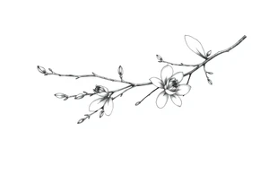 Magnolia branch long with different small half opened flowers, botanical details tattoo idea
