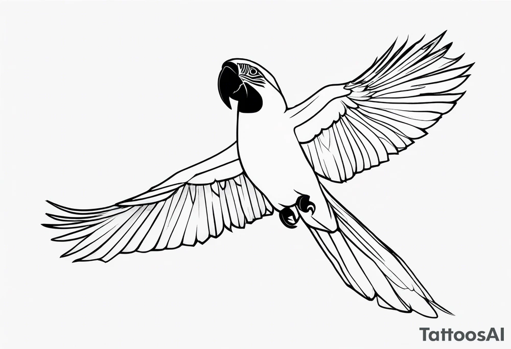 Macaw tattoo idea