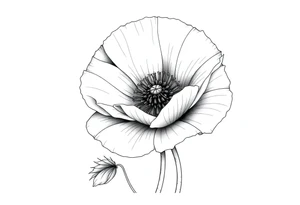 Large poppy flower tattoo idea