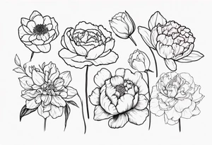 8 flowers peony, carnation, daffodil, daphne, dahlia, desiree, daisy and rose tattoo idea