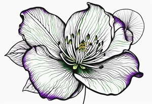 An outline of a rio dipladenia flower with green and purple behind it tattoo idea