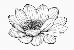 Nimna Nilupuli
Birthday 3rd of may. create the flower for my name and birthday tattoo idea