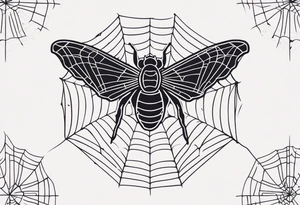 Spider web and moth tattoo idea