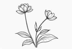one very simple and no detailed waratha flower with stem in black and white, the few lines possible, fine-line tattoo idea