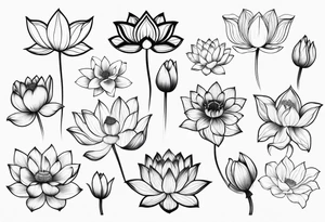 Variety of lotus flowers flash sheet tattoo idea