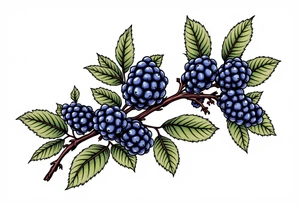 American traditional style Blackberry branch to wrap around an arm tattoo idea