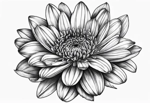 aster flower with roman numerals IX-VI-LVII tattoo idea