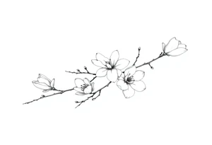Magnolia branch long with different half opened flowers, botanical details tattoo idea