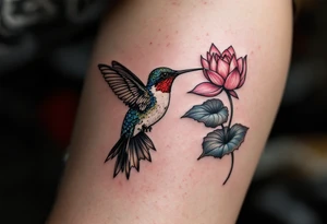 hummingbird drinking from lotus flower (Red and black colors only) tattoo idea