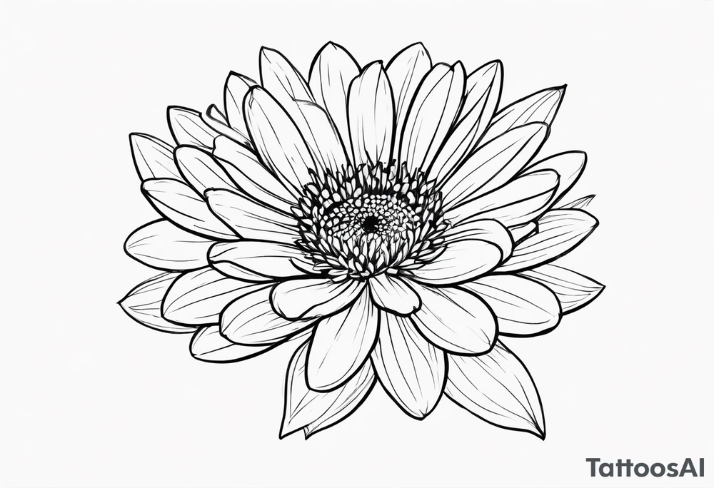 aster flower with roman numerals IX-VI-LVII tattoo idea