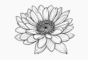 aster flower with roman numerals IX-VI-LVII tattoo idea